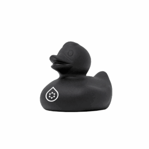 Rubber Duck